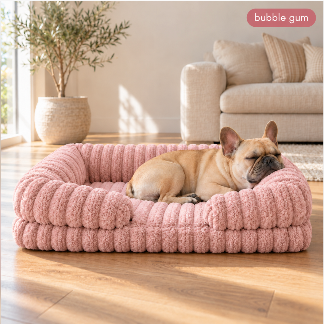 SafeHaven Orthopaedic Bed